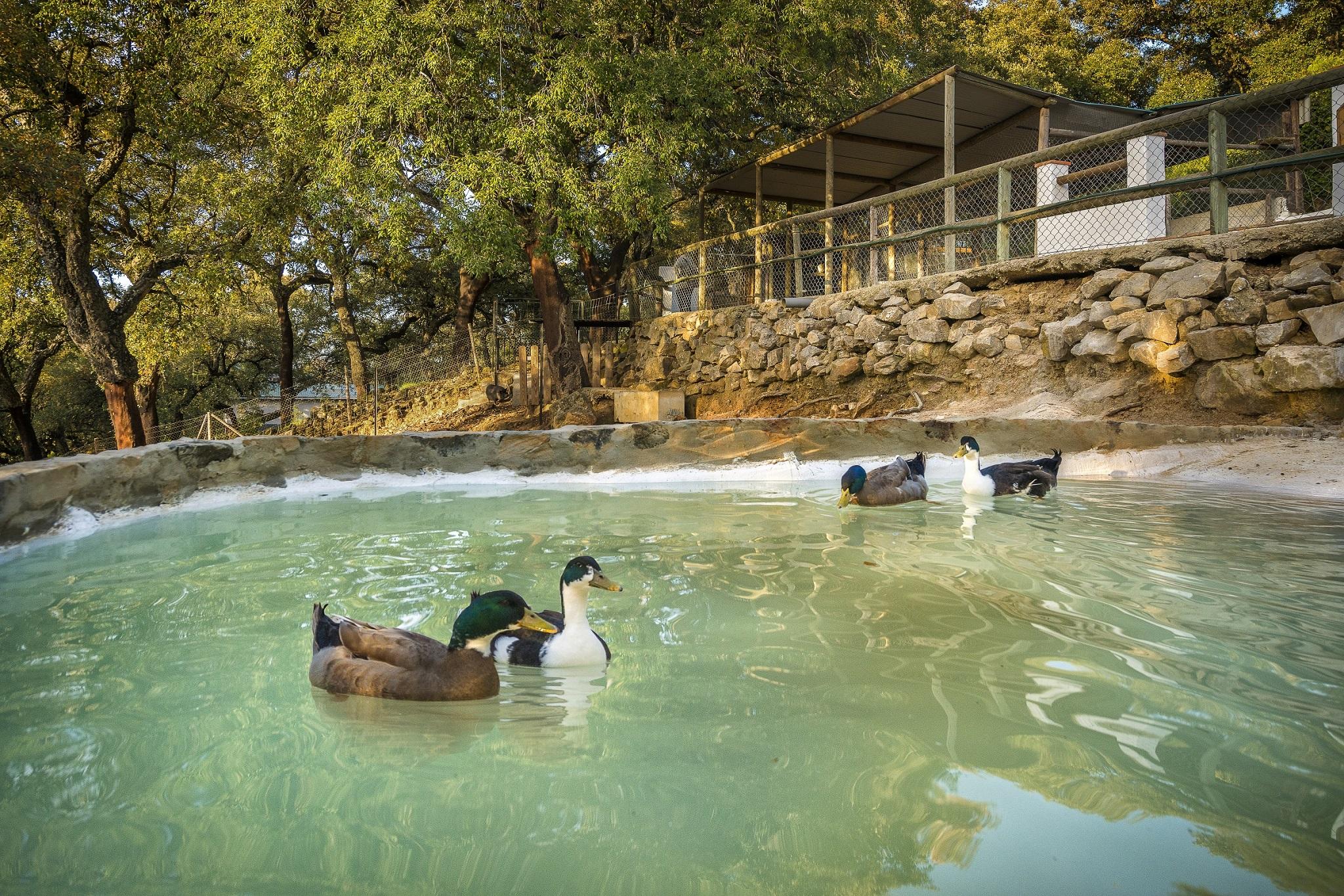 Hotel Fuerte Grazalema Zewnętrze zdjęcie