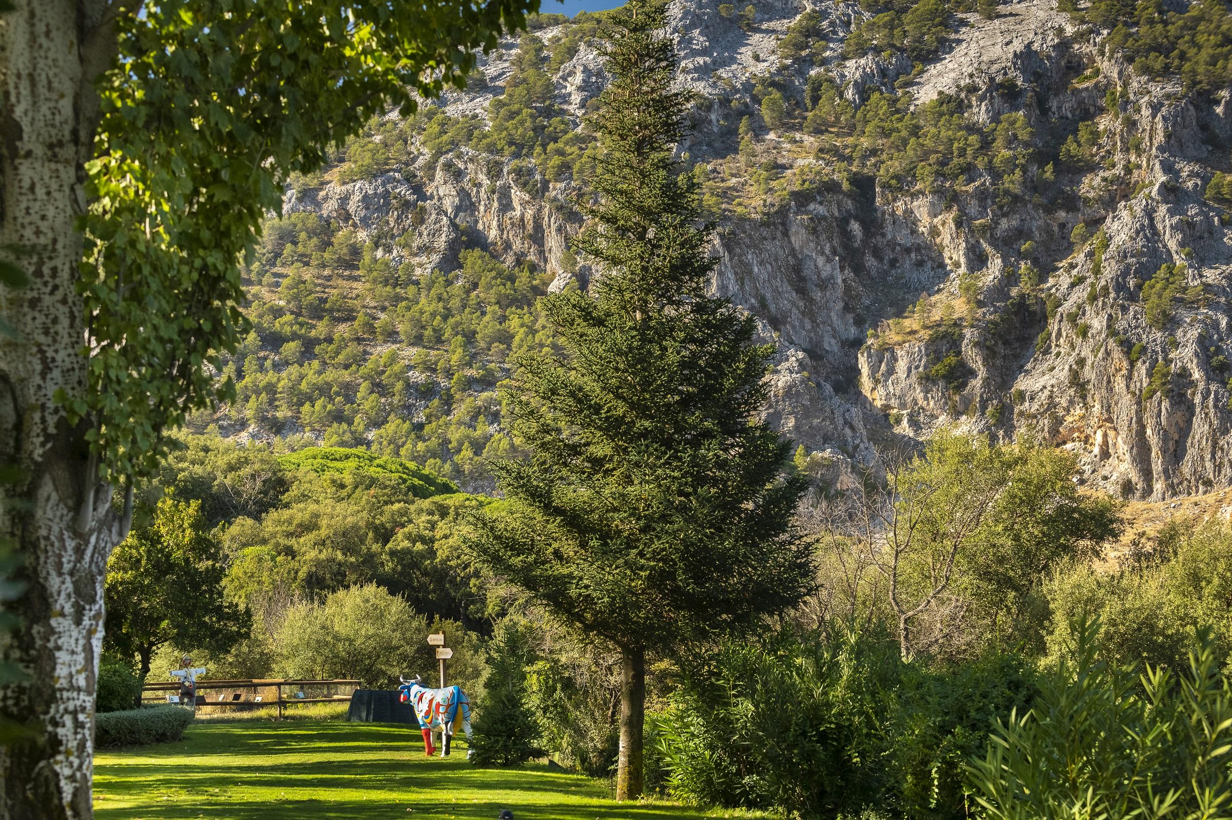 Hotel Fuerte Grazalema Zewnętrze zdjęcie