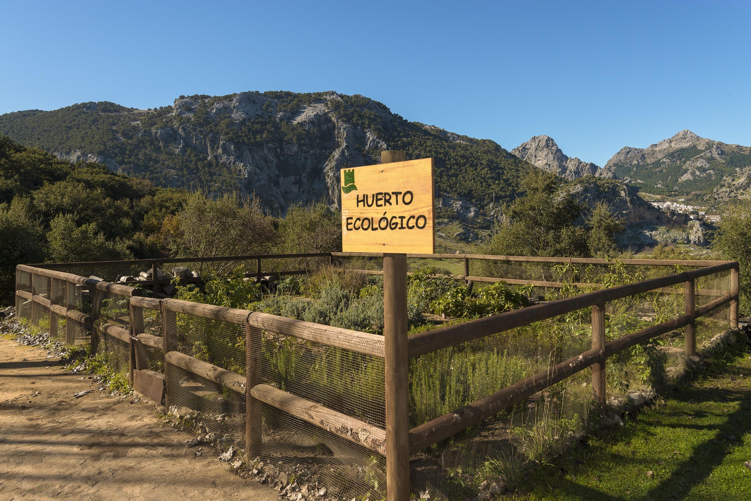 Hotel Fuerte Grazalema Zewnętrze zdjęcie